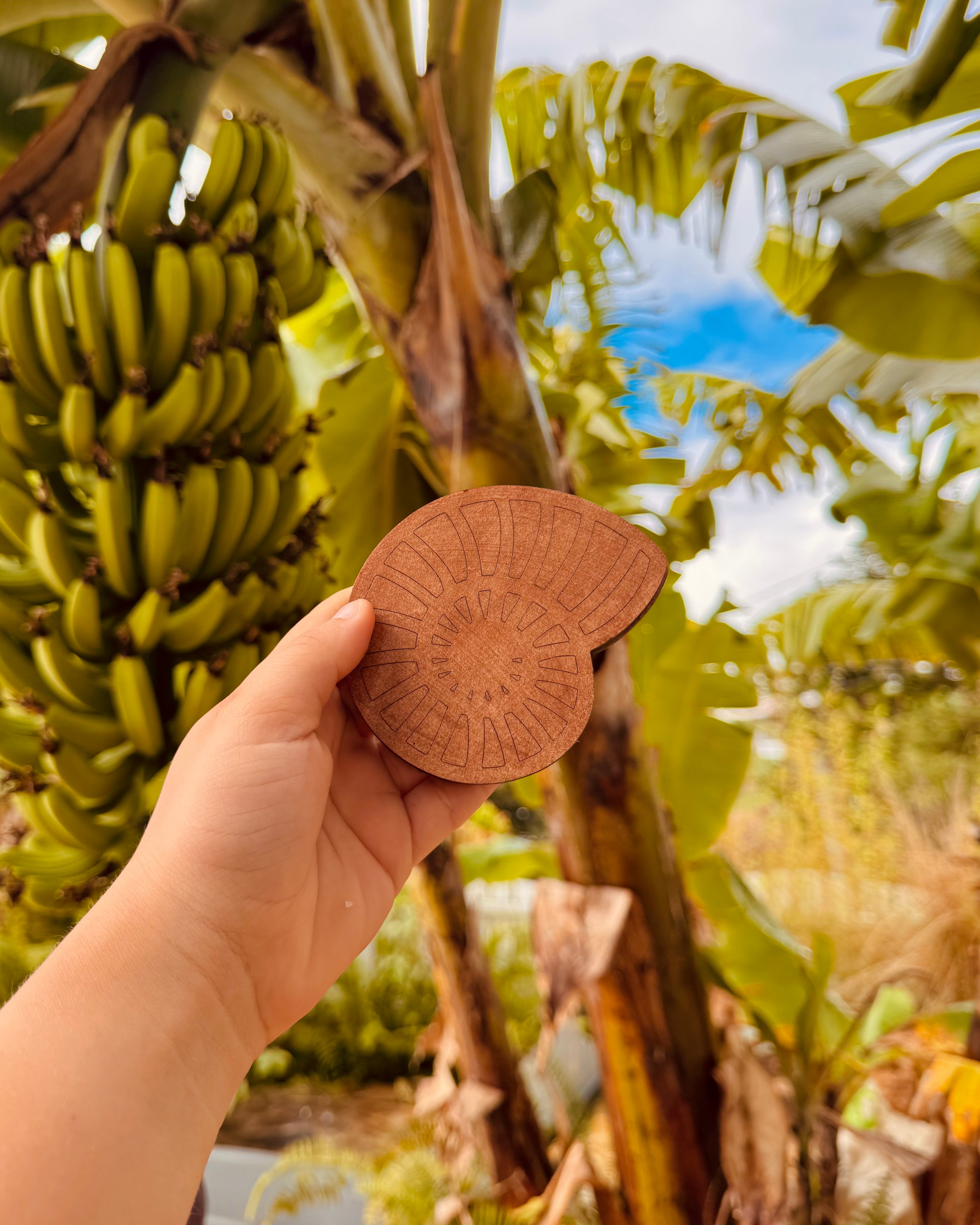 Dessous de verre en bois - Collection Tropicale